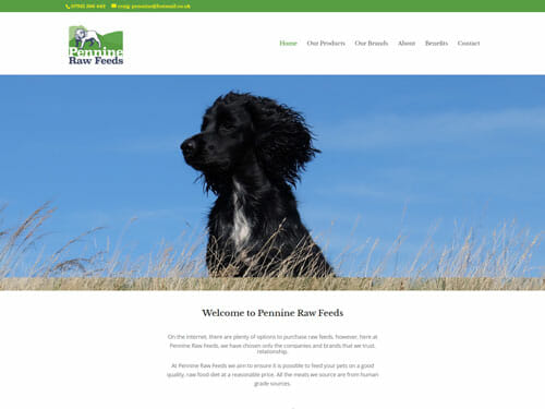 Pennine Raw Feeds